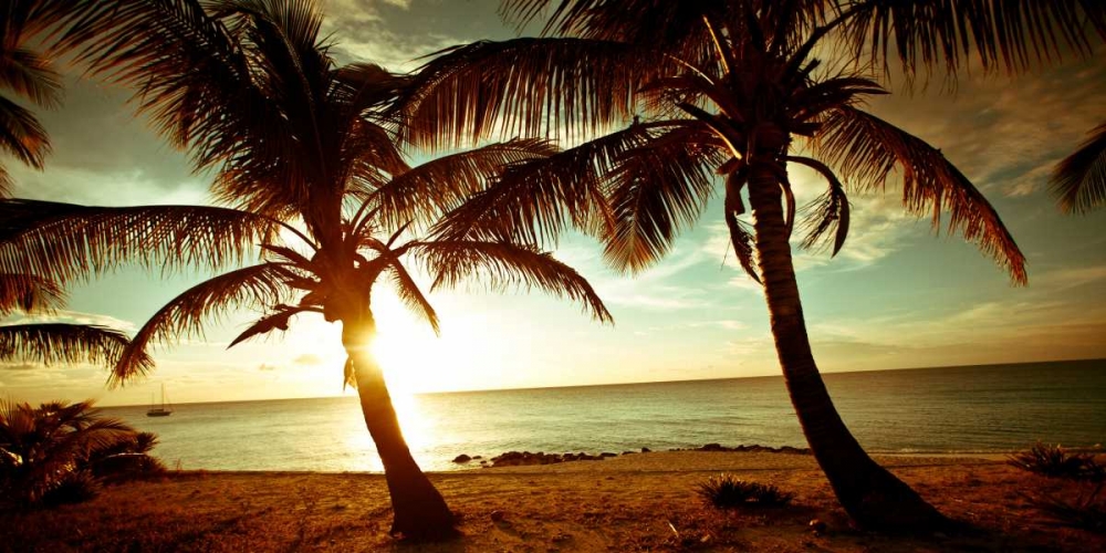 Bimini Sunset art print by Susan Bryant for $57.95 CAD