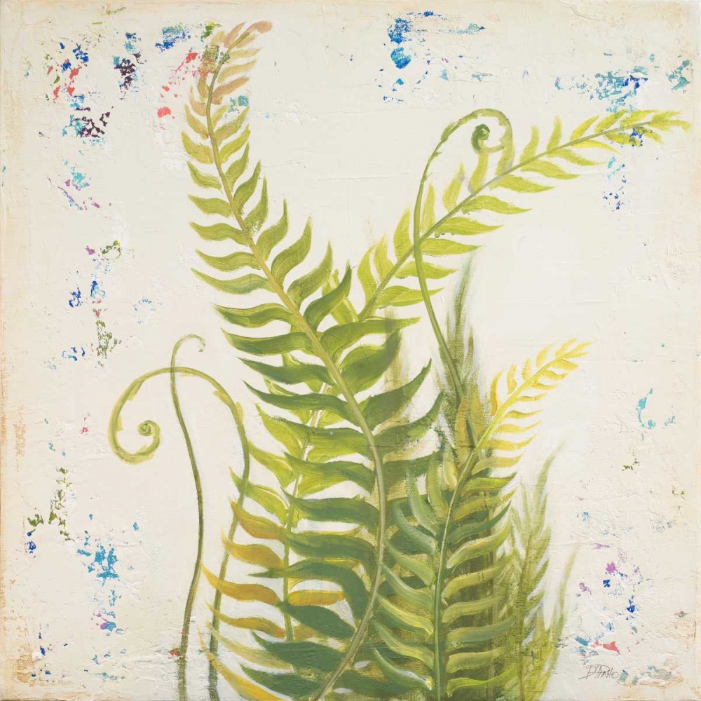 Nice Ferns I art print by Patricia Pinto for $57.95 CAD