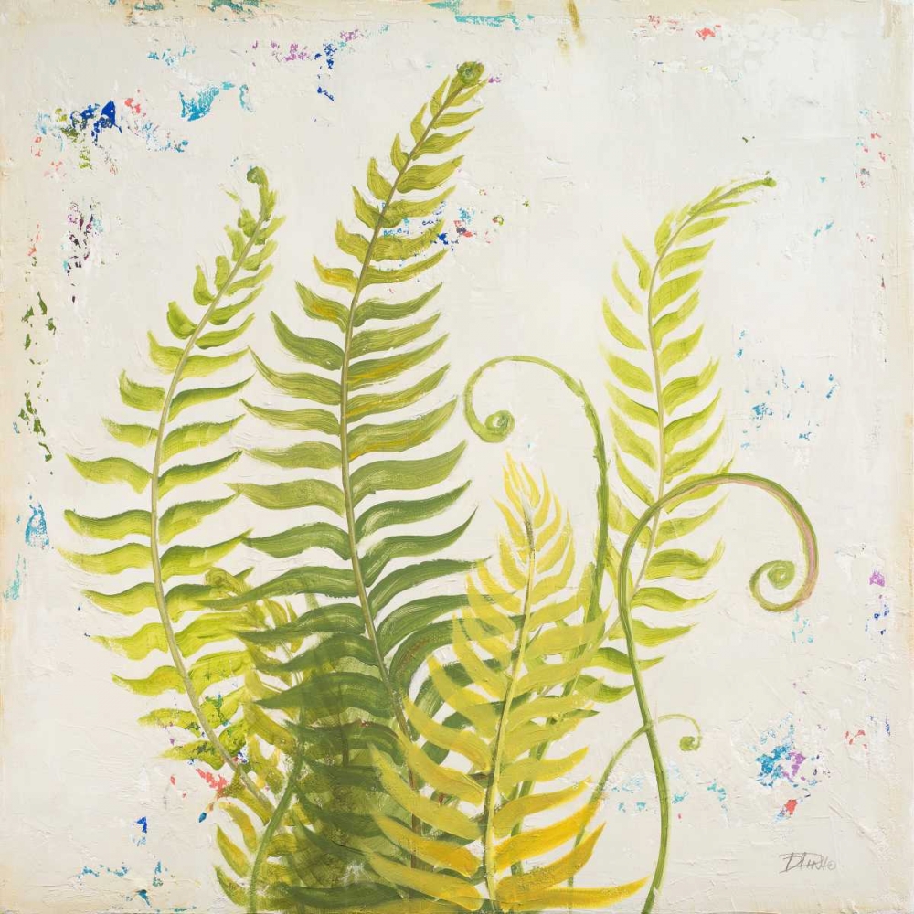 Nice Ferns II art print by Patricia Pinto for $57.95 CAD