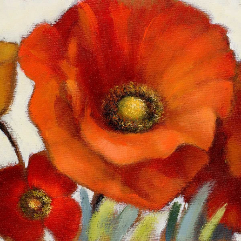 Poppy Splendor Square 1(Closeup) art print by Lanie Loreth for $57.95 CAD
