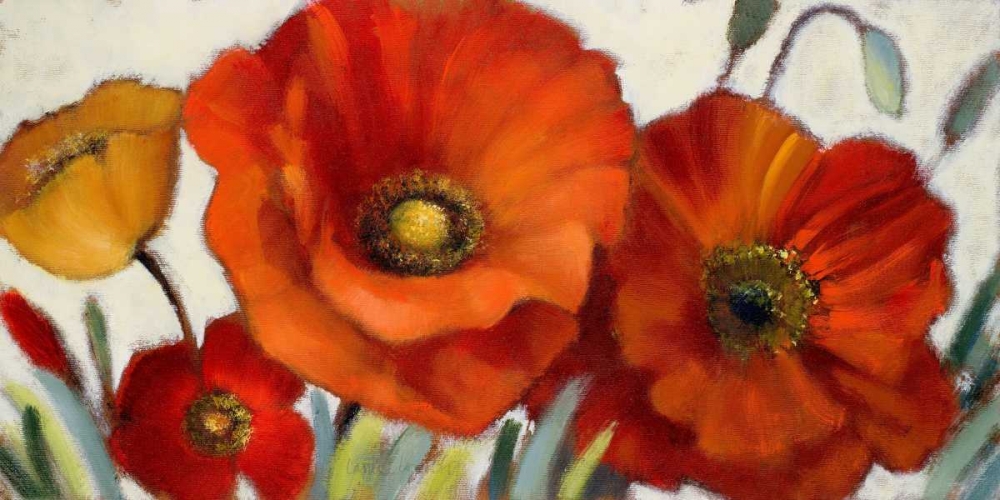 Poppy Splendor I art print by Lanie Loreth for $57.95 CAD