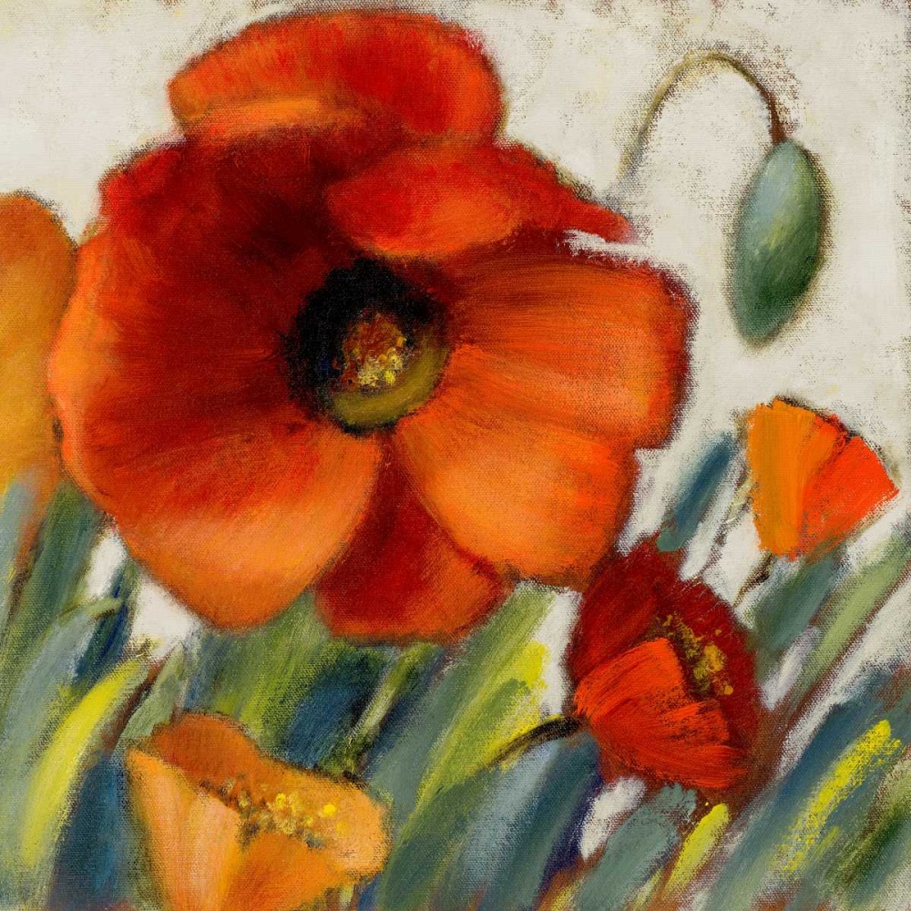 Poppy Splendor Square II art print by Lanie Loreth for $57.95 CAD