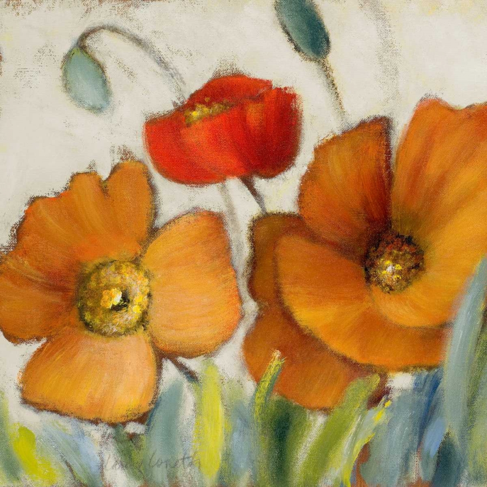 Poppy Splendor Square III art print by Lanie Loreth for $57.95 CAD