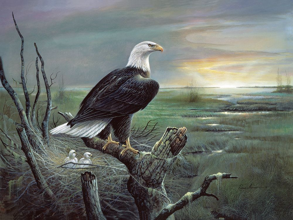 Beauty at Sunrise art print by Ruane Manning for $57.95 CAD
