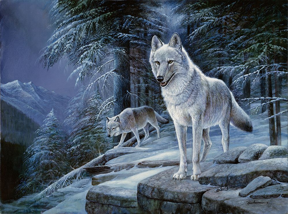Shadows In The Night art print by Ruane Manning for $57.95 CAD