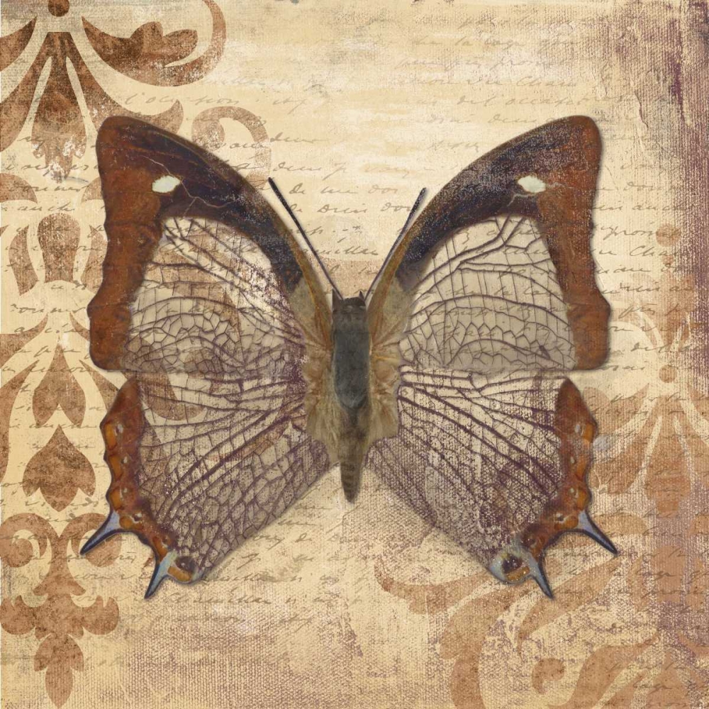 Butterfly art print by Patricia Pinto for $57.95 CAD