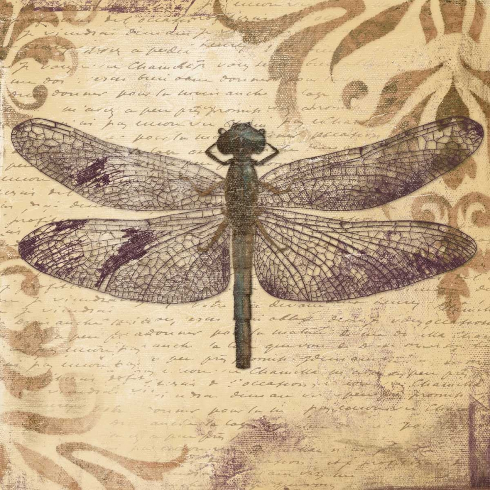 Dragonfly art print by Patricia Pinto for $57.95 CAD