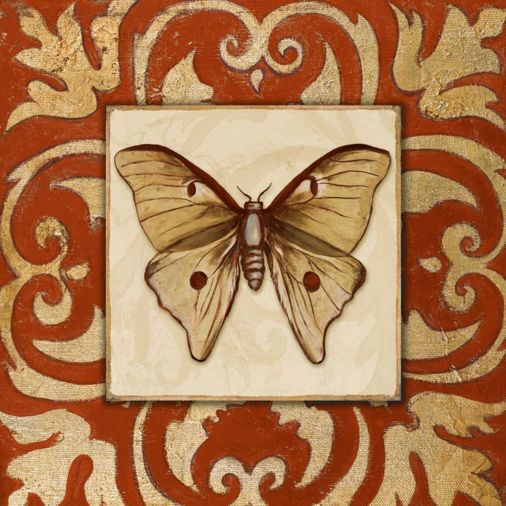 Moroccan Butterfly II art print by Patricia Pinto for $57.95 CAD