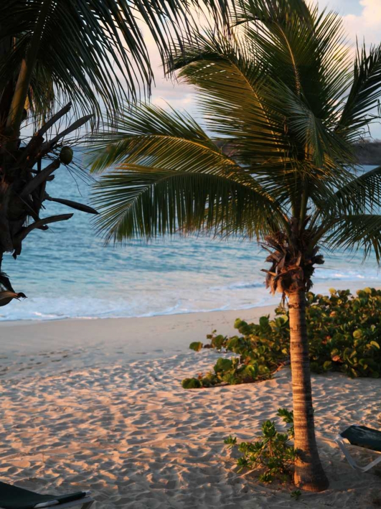 Sunset Palms II art print by Susan Bryant for $57.95 CAD