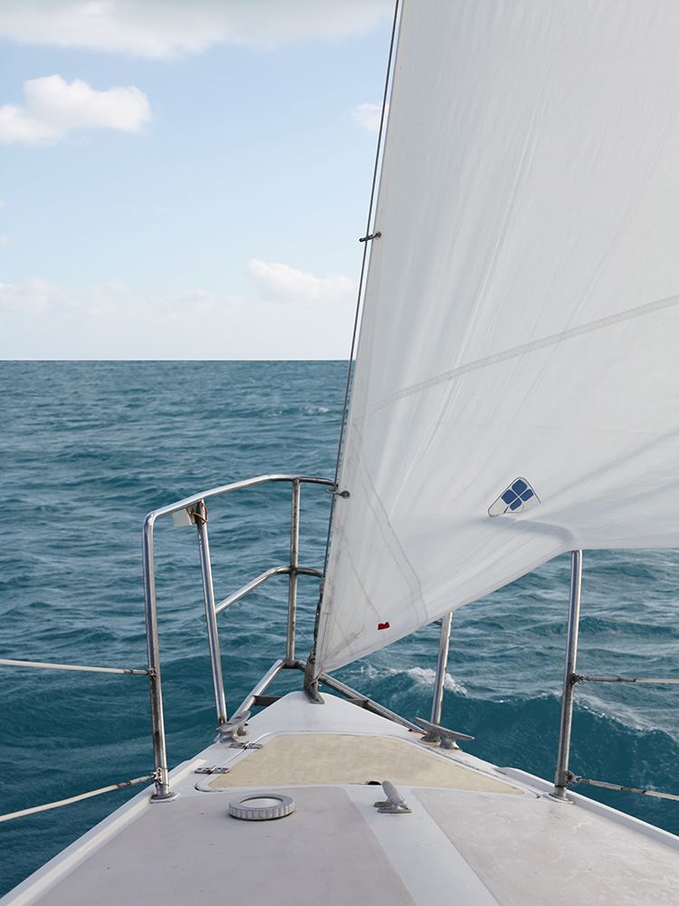 Voyage I art print by Susan Bryant for $57.95 CAD
