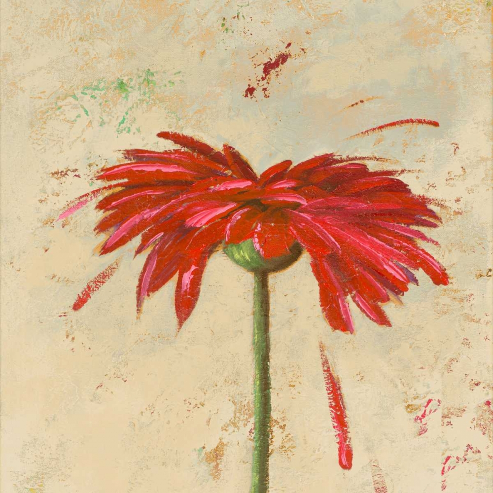 Tiny Flower Square II art print by Patricia Pinto for $57.95 CAD