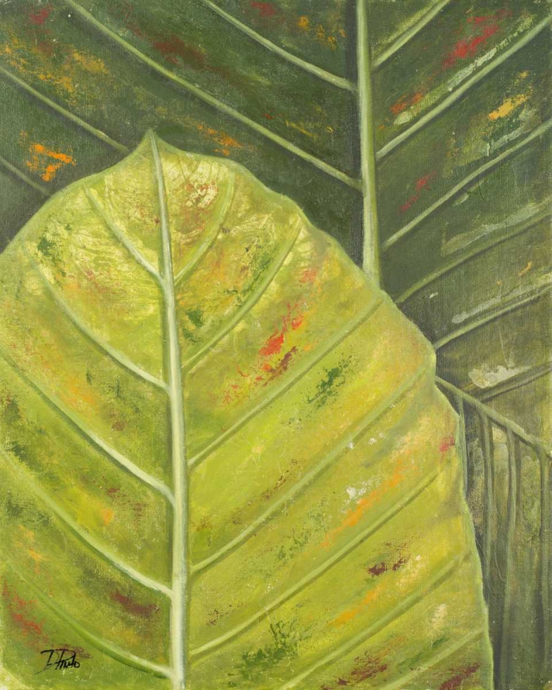 Green Zoom II art print by Patricia Pinto for $57.95 CAD