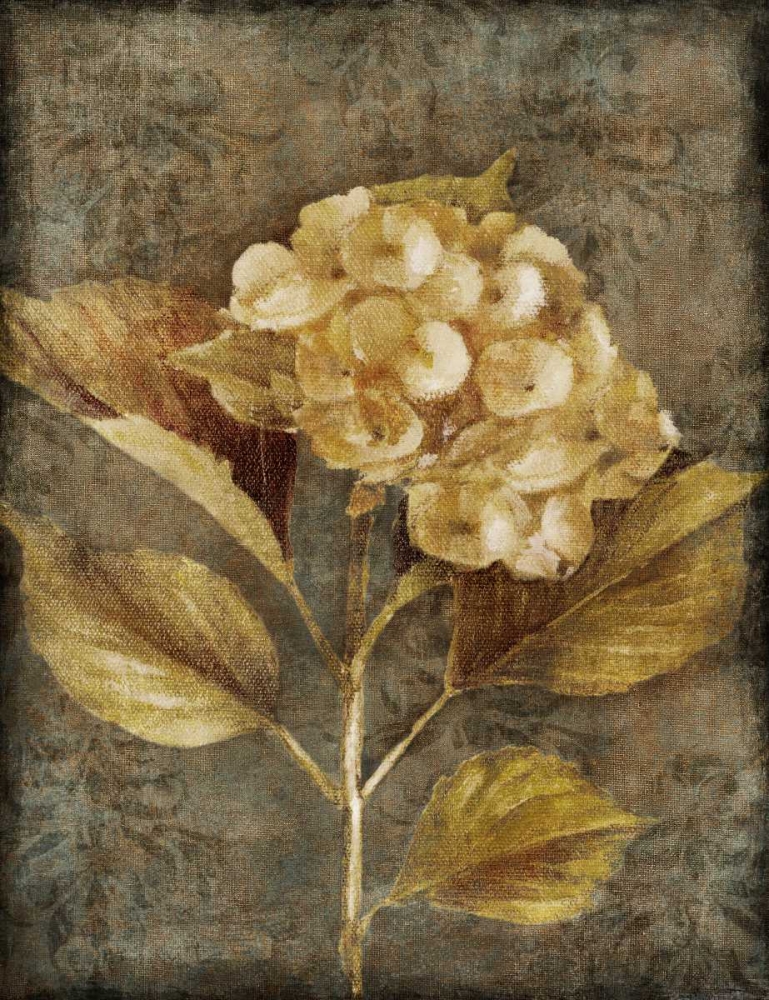 Antique Hydrangea I art print by Lanie Loreth for $57.95 CAD