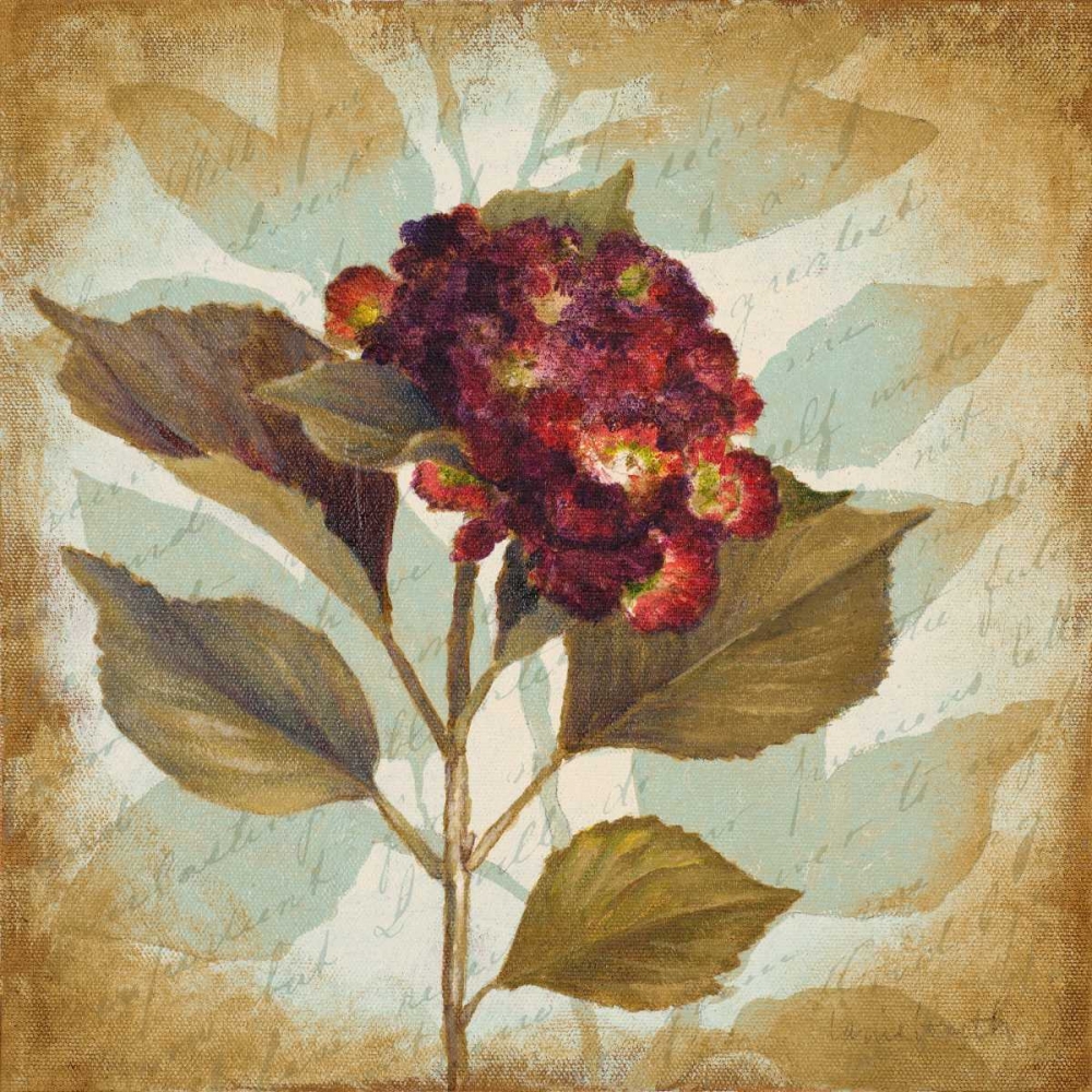 Aubergine Hydrangea Portrait art print by Lanie Loreth for $57.95 CAD