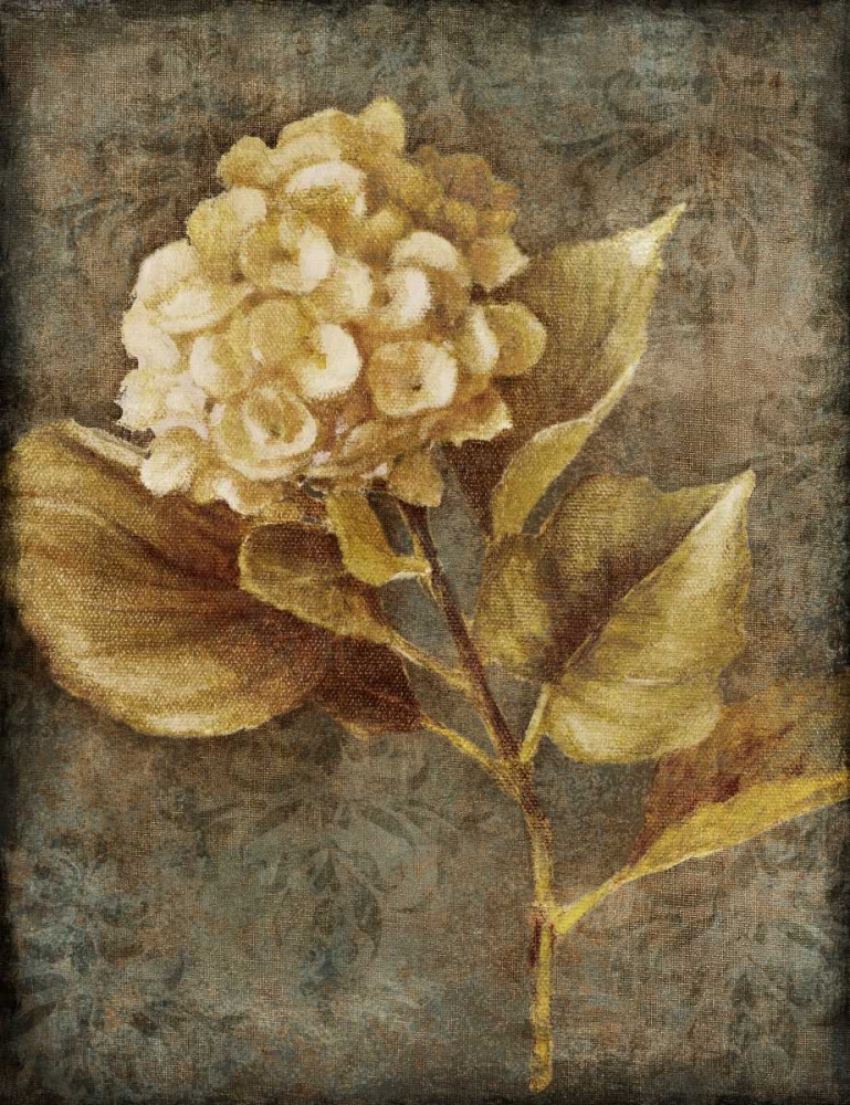 Antique Hydrangea II art print by Lanie Loreth for $57.95 CAD