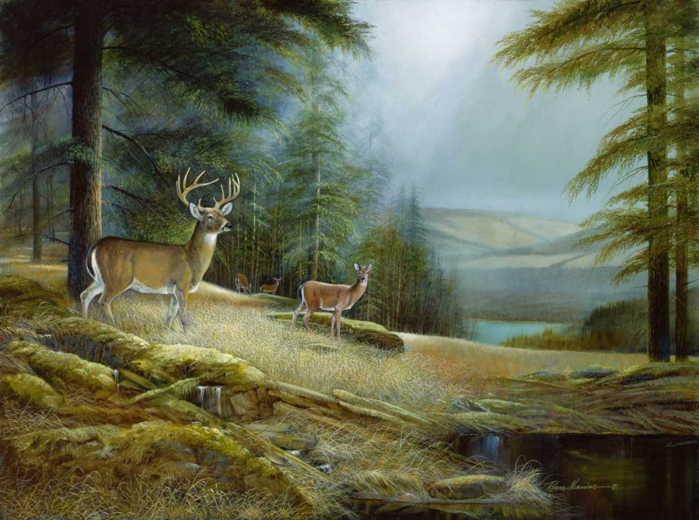 Mountaintop Retreat art print by Ruane Manning for $57.95 CAD