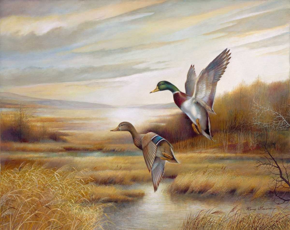 Mallards art print by Ruane Manning for $57.95 CAD