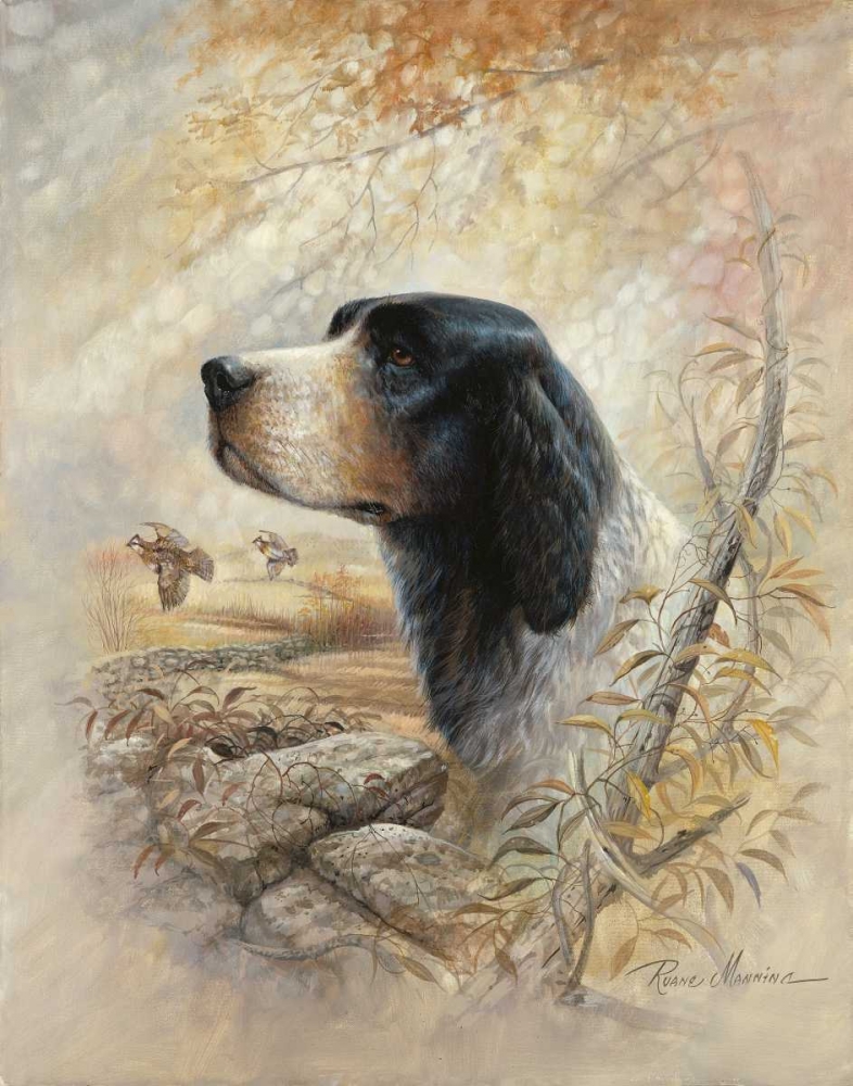 English Pointer art print by Ruane Manning for $57.95 CAD