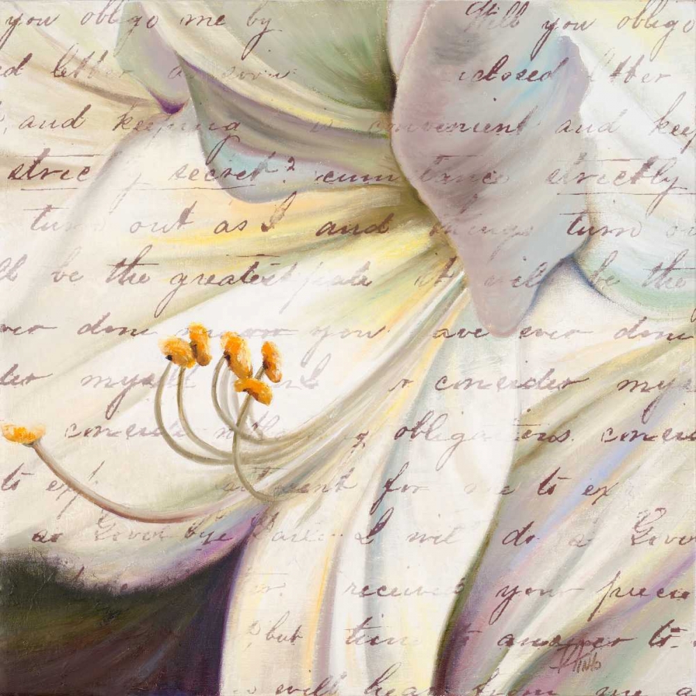 Lily Script I art print by Patricia Pinto for $57.95 CAD