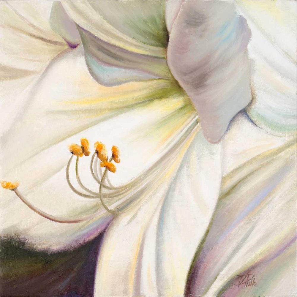 White Lily I art print by Patricia Pinto for $57.95 CAD