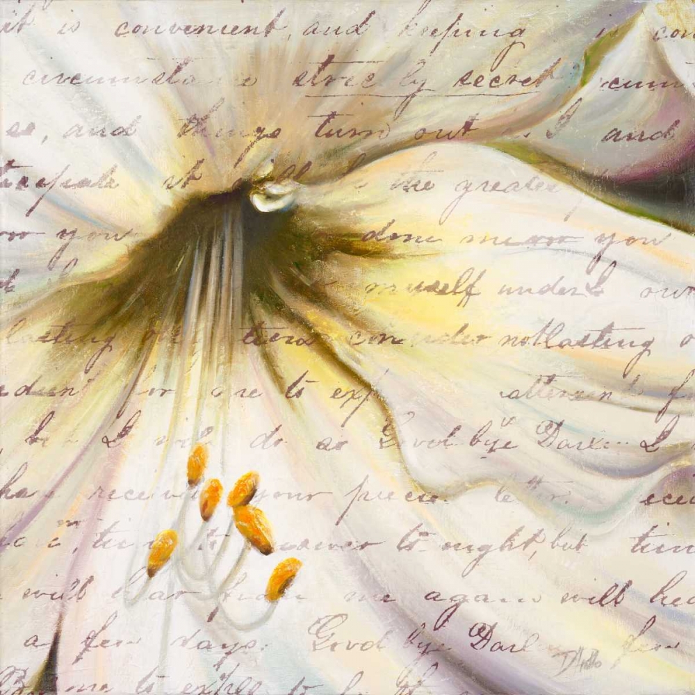 Lily Script II art print by Patricia Pinto for $57.95 CAD