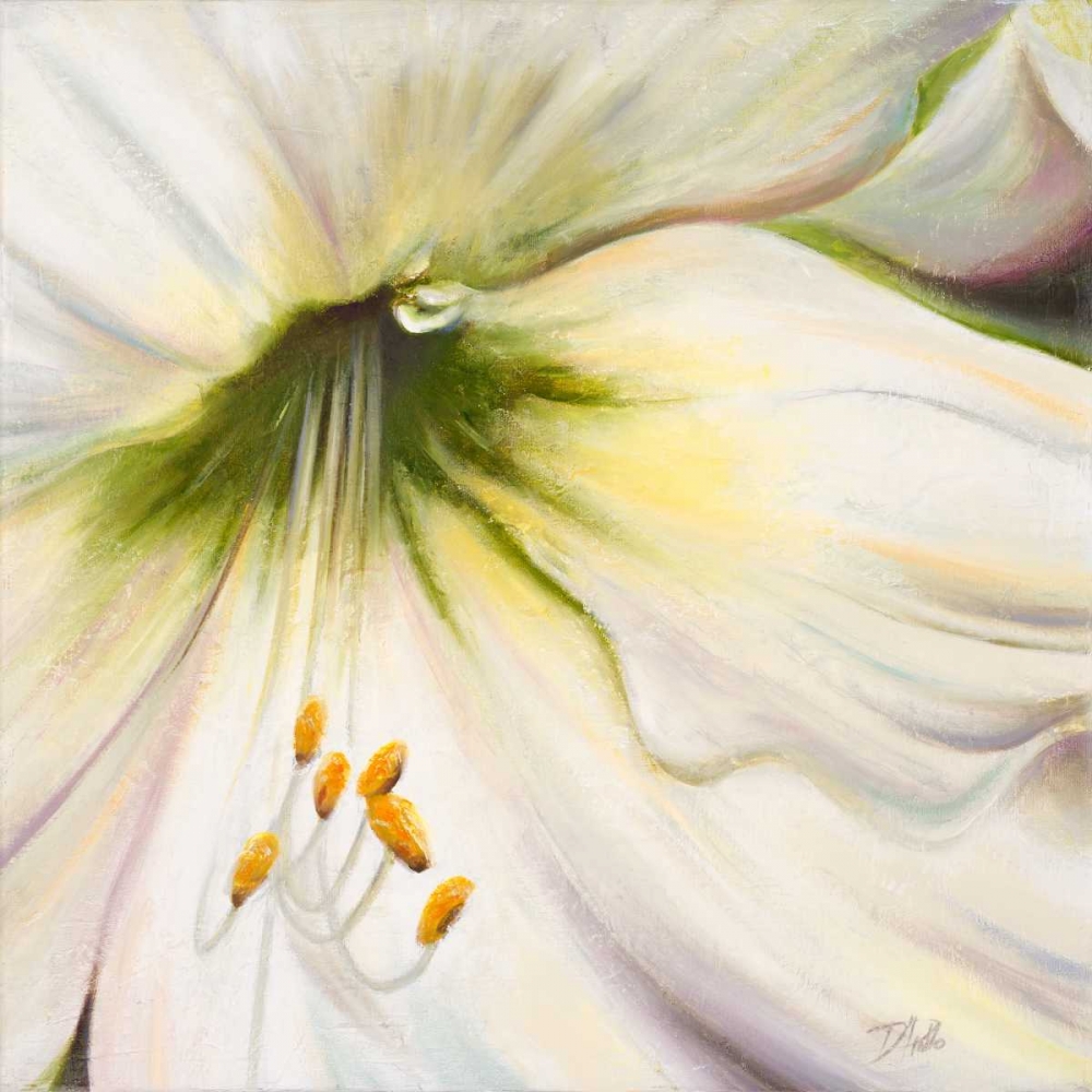 White Lily II art print by Patricia Pinto for $57.95 CAD