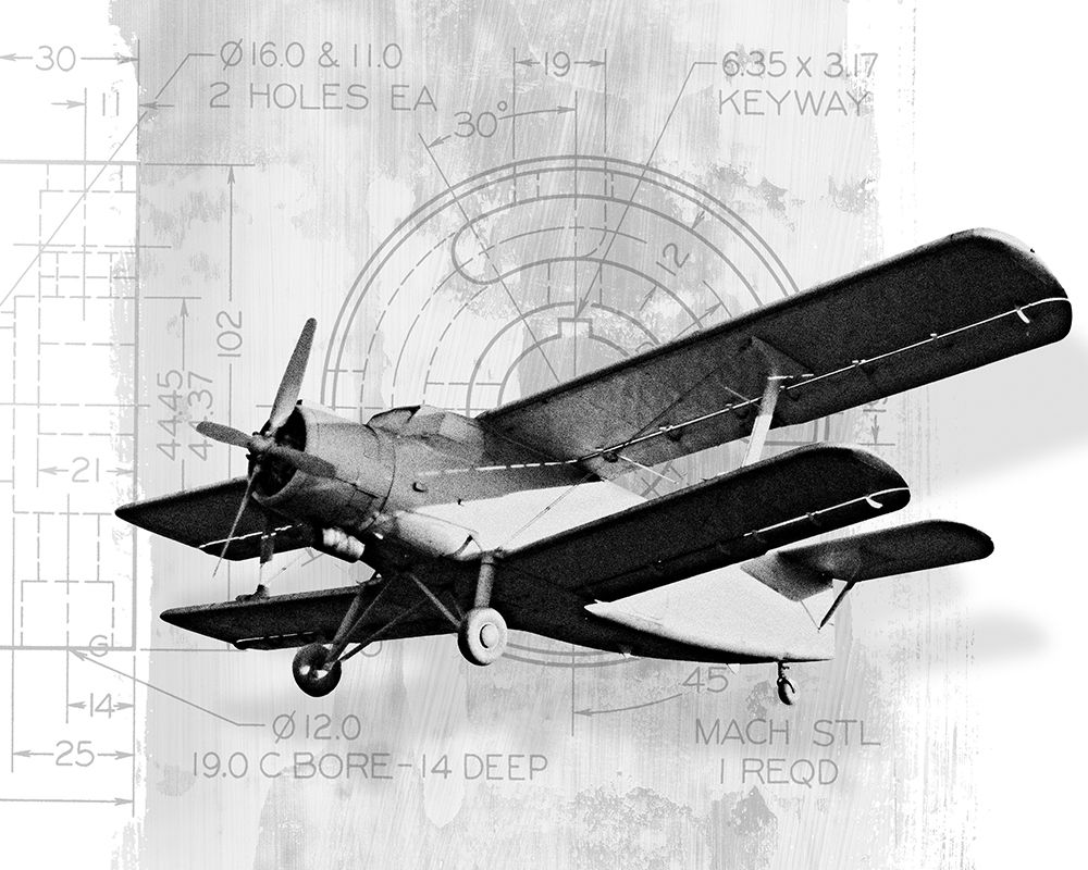 Flight Plans II art print by Michael Marcon for $57.95 CAD