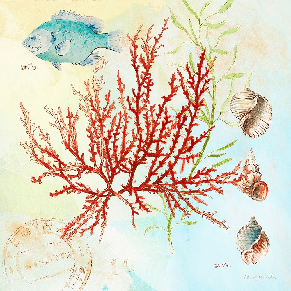 Deep Sea Coral I art print by Lanie Loreth for $57.95 CAD