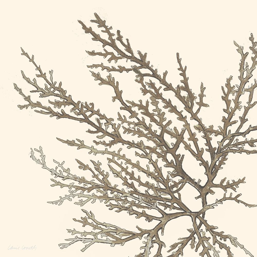 Brown Coastal Coral I art print by Lanie Loreth for $57.95 CAD