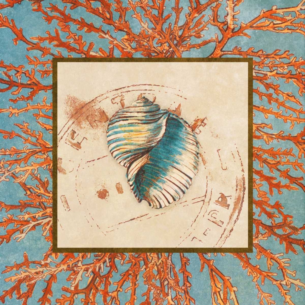 Coral Medley Shell I art print by Lanie Loreth for $57.95 CAD
