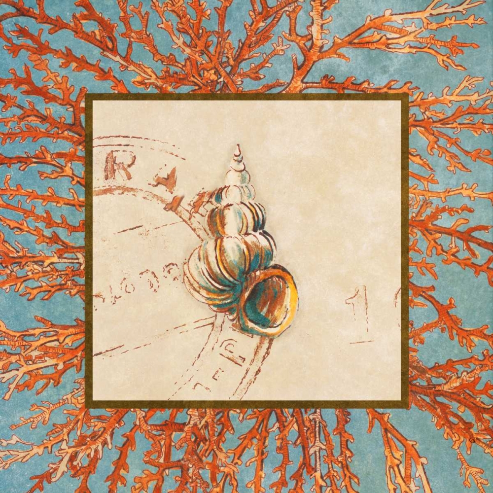 Coral Medley Shell III art print by Lanie Loreth for $57.95 CAD