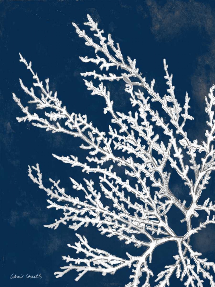 Coastal Coral I art print by Lanie Loreth for $57.95 CAD