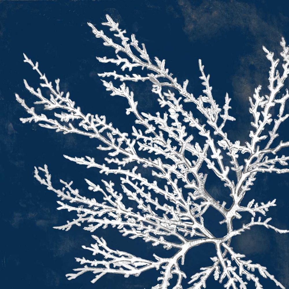 Coastal Coral I art print by Lanie Loreth for $57.95 CAD