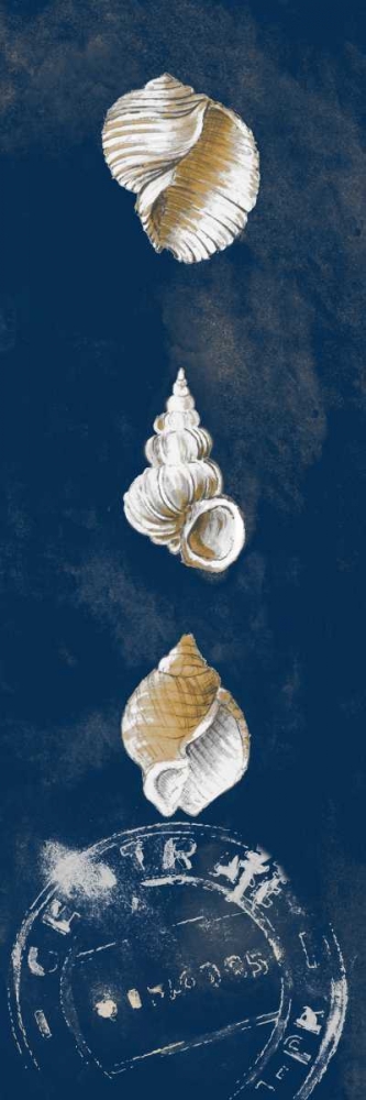Coastal Shells Panel I art print by Lanie Loreth for $57.95 CAD