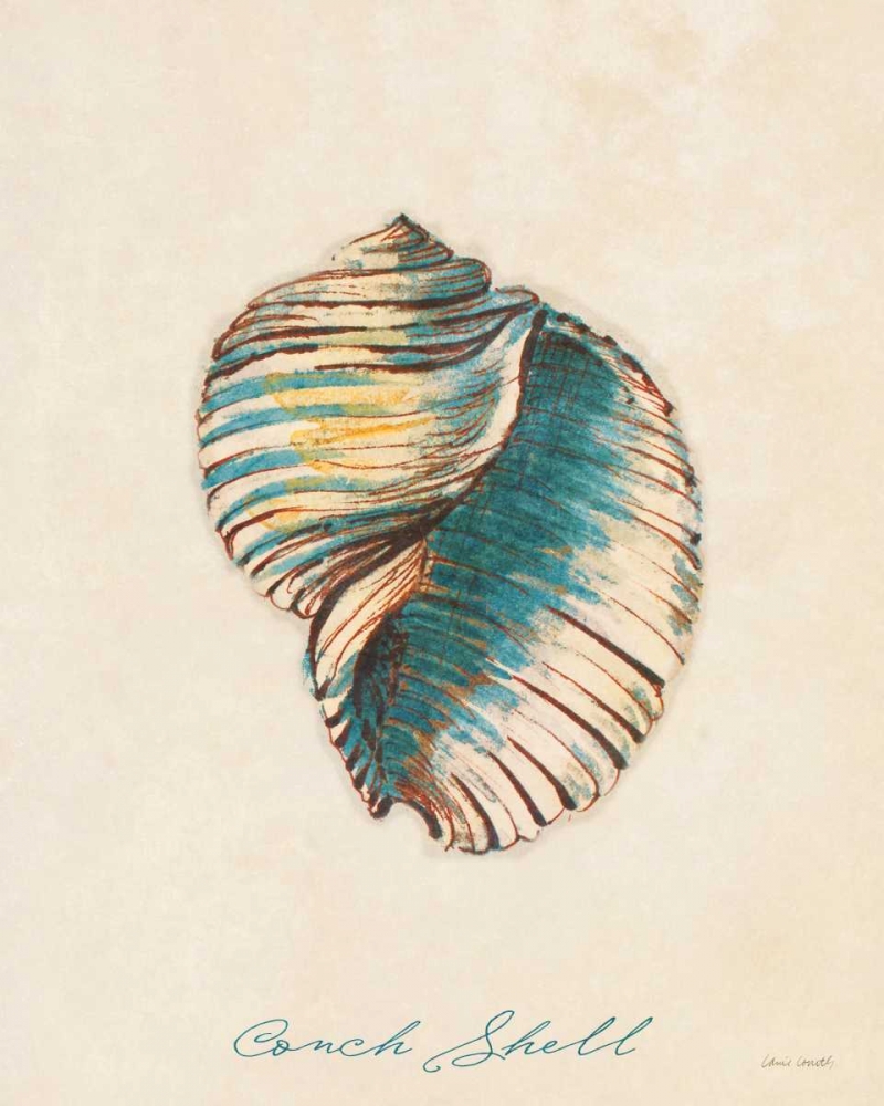 Conch Shell art print by Lanie Loreth for $57.95 CAD