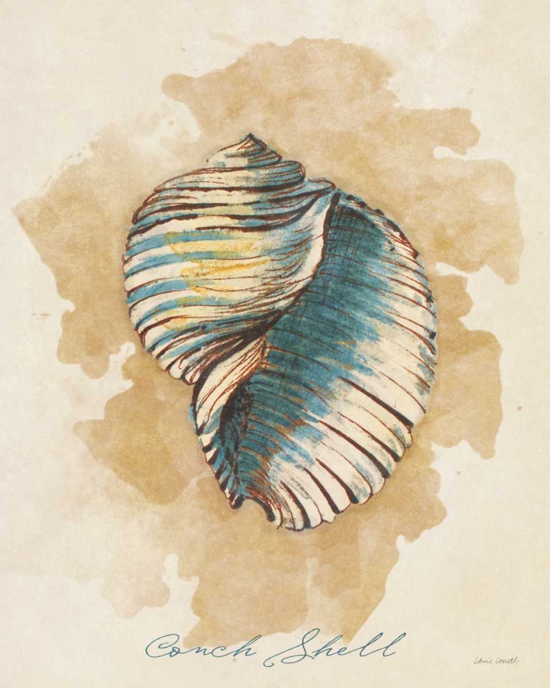 Conch Shell art print by Lanie Loreth for $57.95 CAD