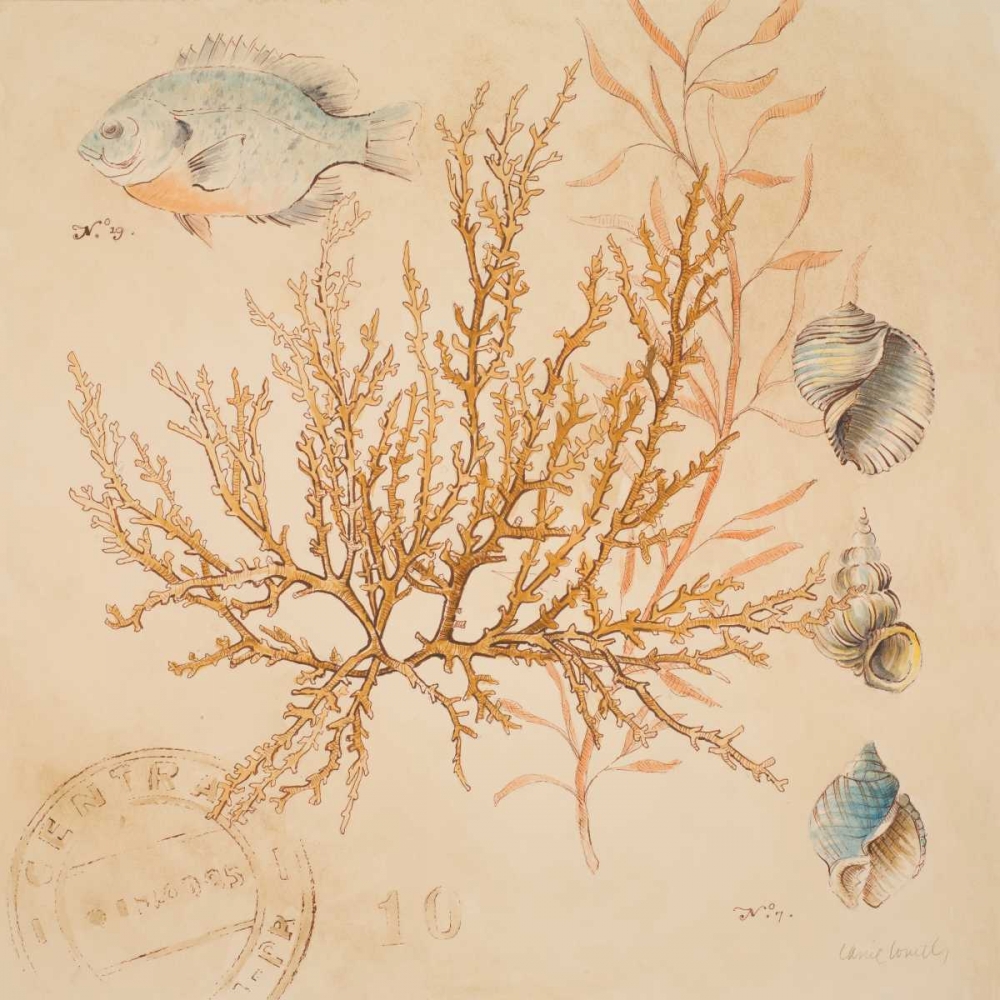 Coral Medley I art print by Lanie Loreth for $57.95 CAD