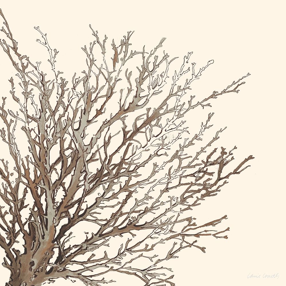 Brown Coastal Coral II art print by Lanie Loreth for $57.95 CAD