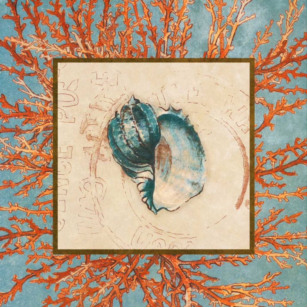 Coral Medley Shell II art print by Lanie Loreth for $57.95 CAD