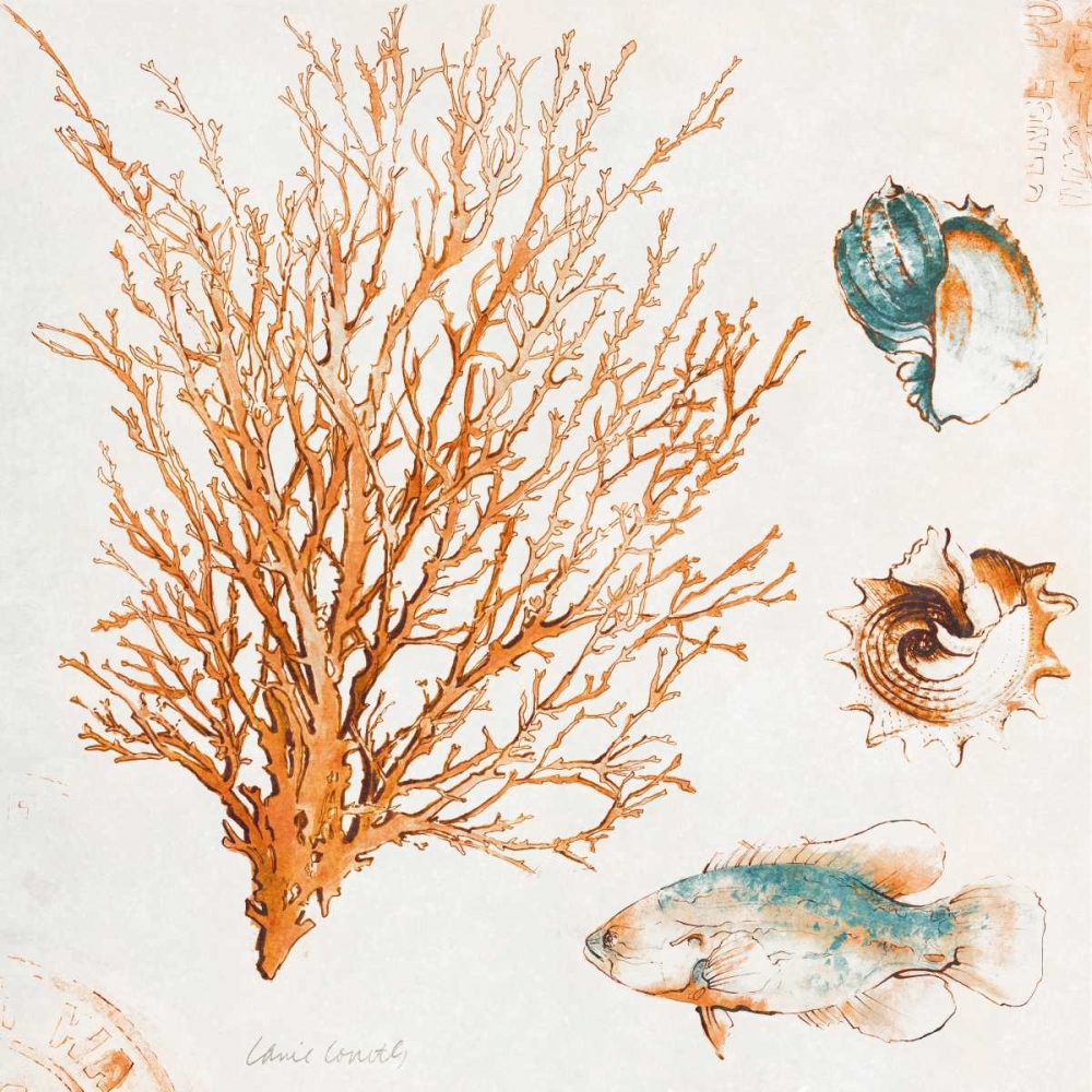 Coastal Teal Coral IV art print by Lanie Loreth for $57.95 CAD