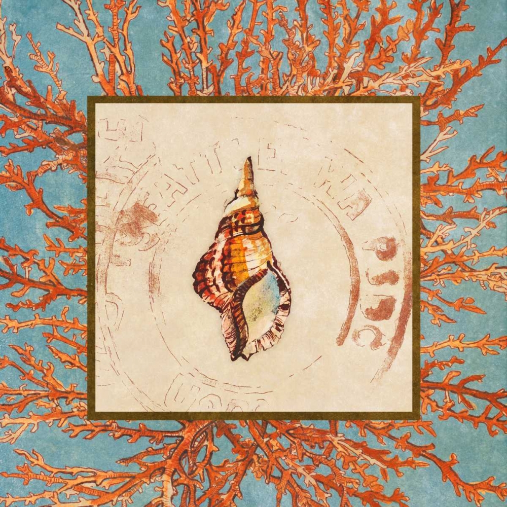 Coral Medley Shell IV art print by Lanie Loreth for $57.95 CAD