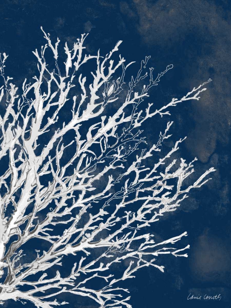 Coastal Coral II art print by Lanie Loreth for $57.95 CAD