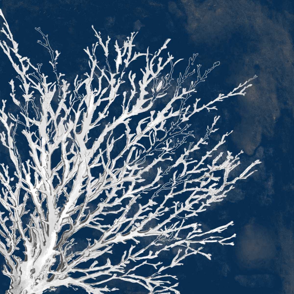 Coastal Coral II art print by Lanie Loreth for $57.95 CAD