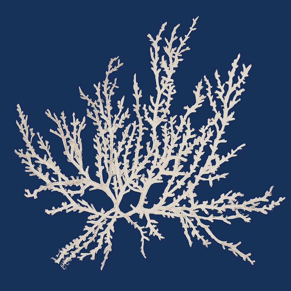 Navy Coral Medley I art print by Lanie Loreth for $57.95 CAD