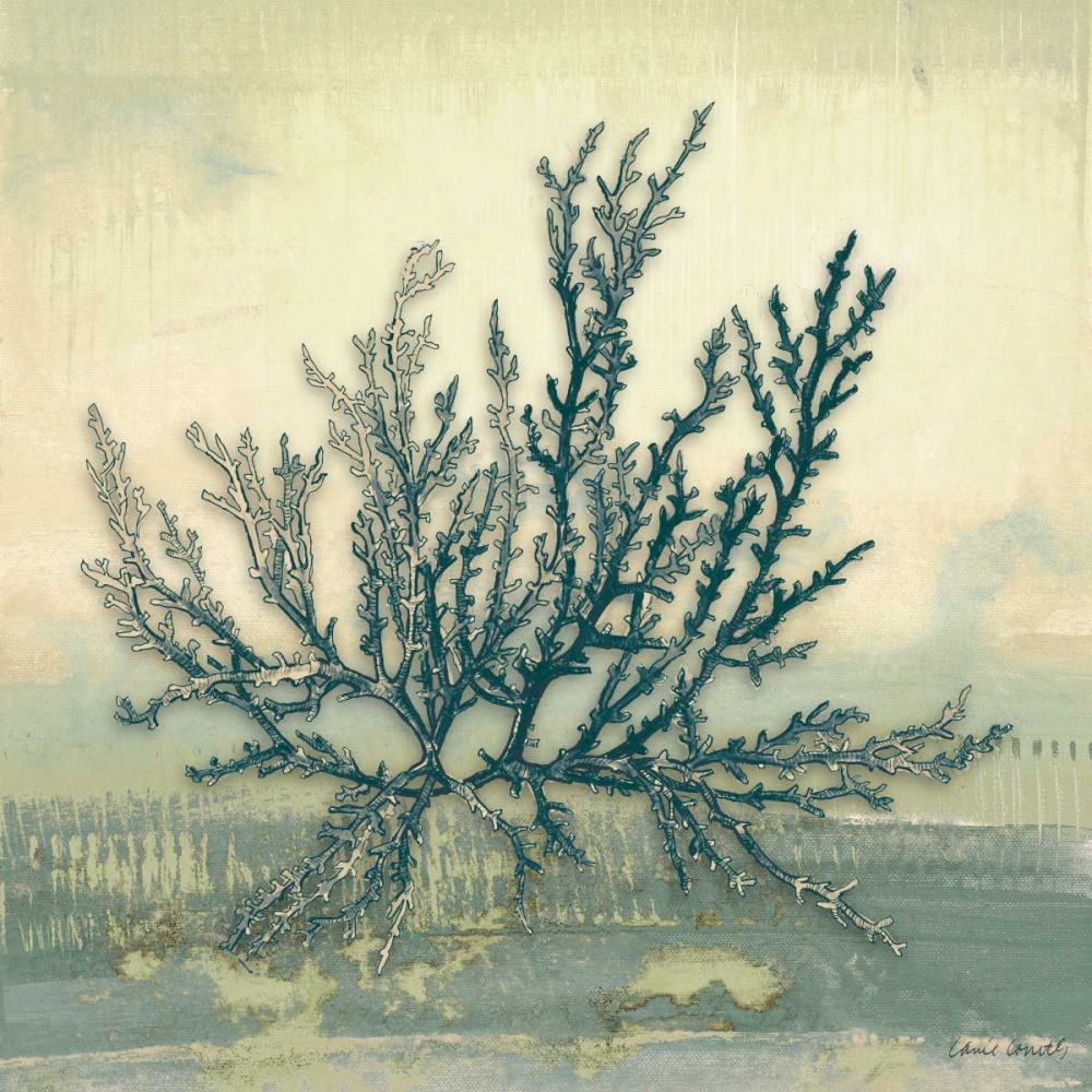 Coastal Coral I art print by Lanie Loreth for $57.95 CAD