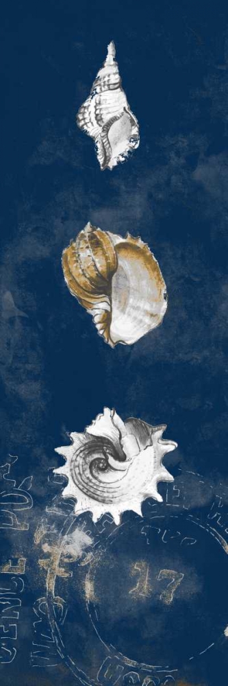 Coastal Shells Panel II art print by Lanie Loreth for $57.95 CAD