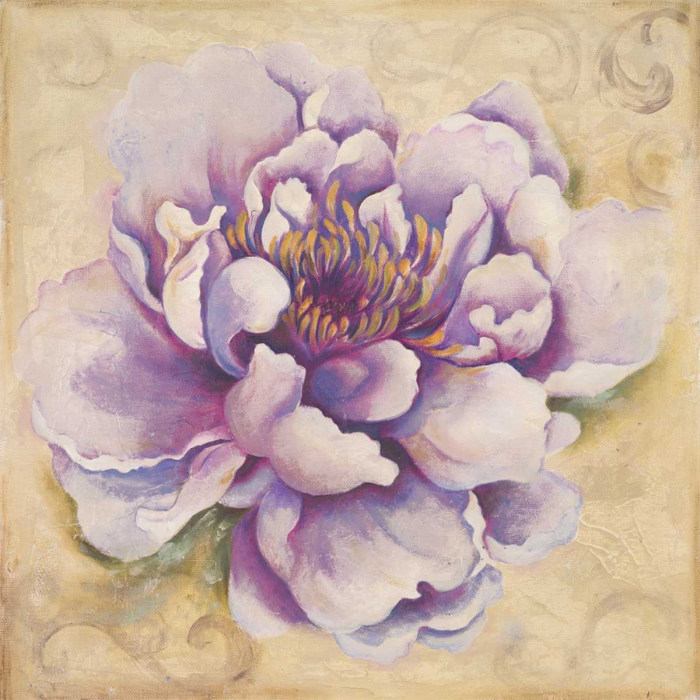 In Bloom II art print by Patricia Pinto for $57.95 CAD