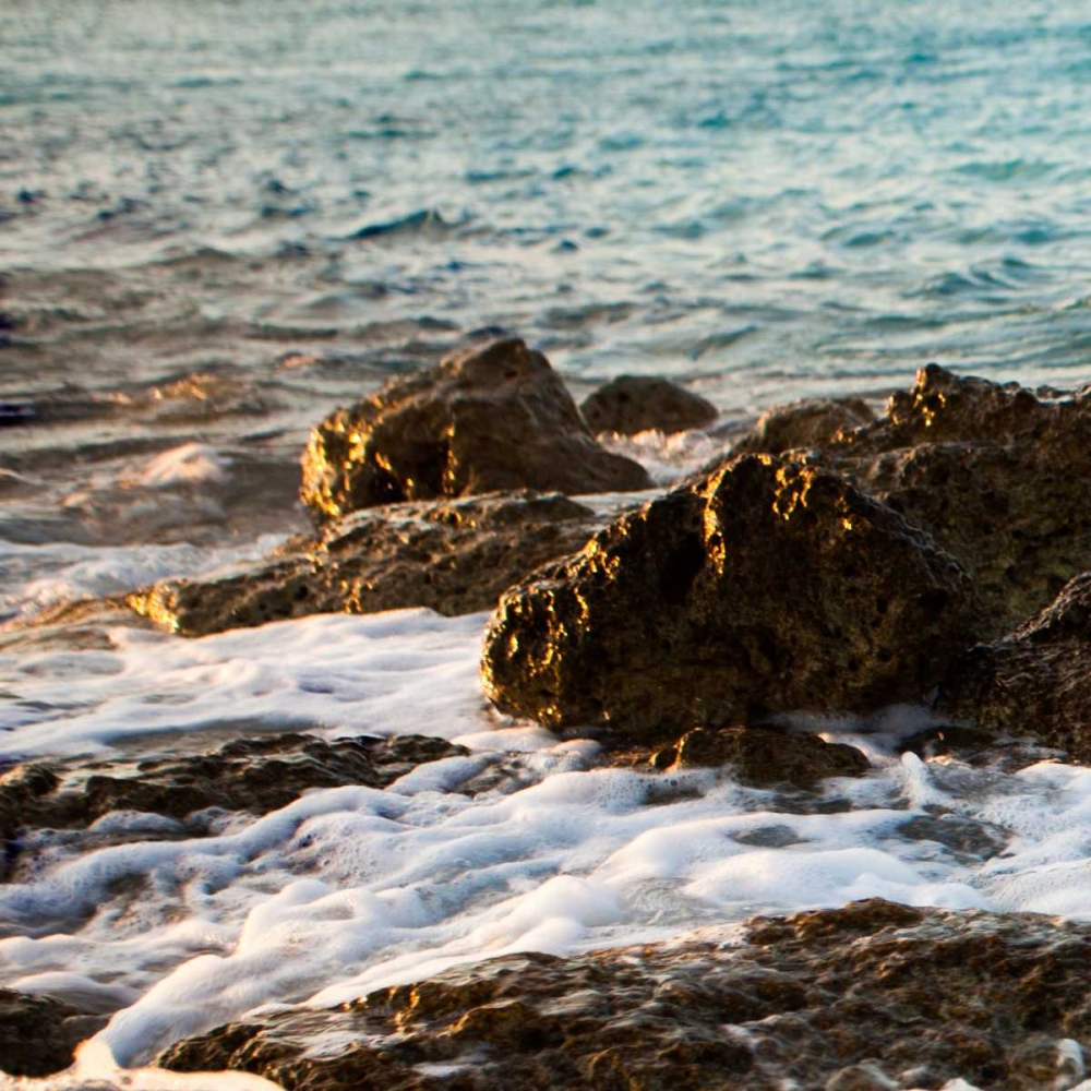 On the Rocks I art print by Susan Bryant for $57.95 CAD