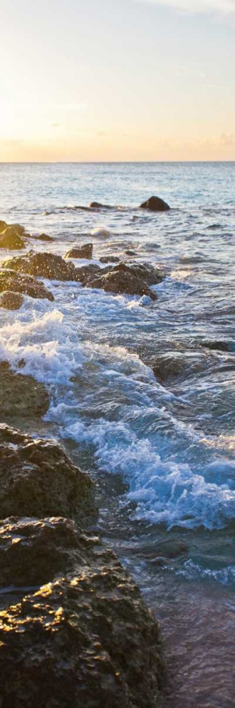Bimini Coastline I art print by Susan Bryant for $57.95 CAD