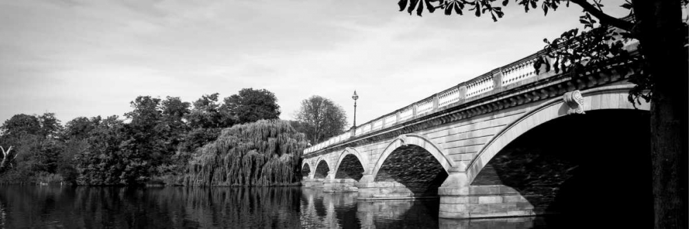 Hyde Park art print by Emily Navas for $57.95 CAD